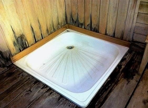 Hogyan lehet burkolni egy gőzfürdőt egy fürdőben - hogyan kell kiválasztani a megfelelő fát
