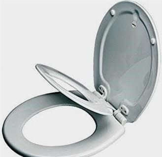 WC-fedél: a kiválasztás és a felszerelés jellemzői