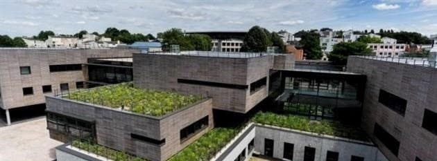 Zöld fű a tetőn – az ősök különcsége vagy a modern tetőfedés?