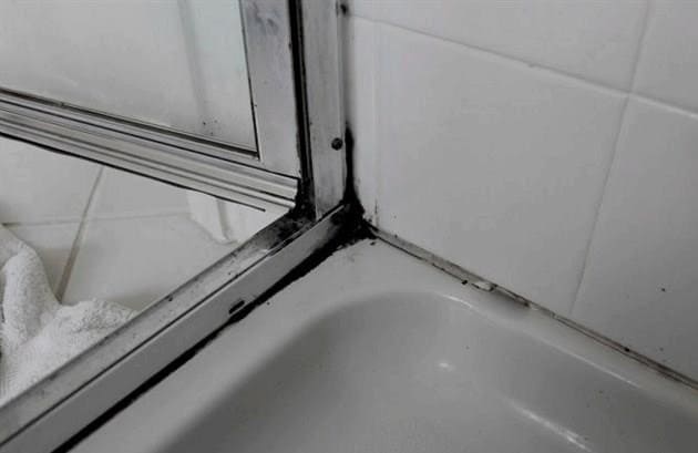 A nedves fürdőszoba a legjobb módszer a páratartalom csökkentésére. 70 fotó az optimális megoldásokról