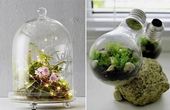Varázslatos kert üveg mögött - csináld magad florárium A-tól Z-ig
