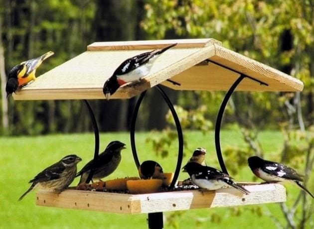 Madáretető - Tudja meg a legjobb DIY madáretető műhelyeket és oktatóanyagokat! (Fotó és videó)