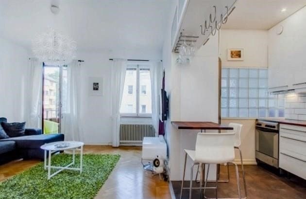 Egyszobás lakás kialakítása: tippek az elrendezéshez, fotóötletek