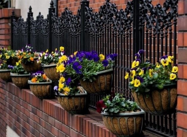 Virágágyak az országban a kerítés mentén - 20 inspiráló fotóötlet