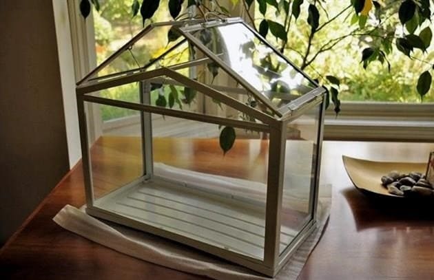 Saját kezűleg: hogyan készítsen beltéri üvegházat otthon