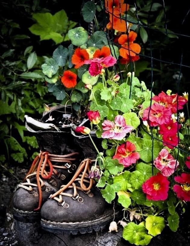 Ültető a kertbe - hogyan készítsen stílusos ültetvényt nyaralójához és kertjéhez saját kezével