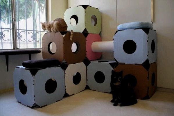 Hogyan készítsen házat egy macskának a saját kezével: 4 projekt leírása