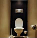 Hogyan díszítsünk egy WC-t (30 fotó): tervezési lehetőségek