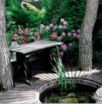 Kerttervezés az országban (36 fotó): projekt, gyep létrehozása, japán kerti stílus, virágok ültetése és kövek felhasználása