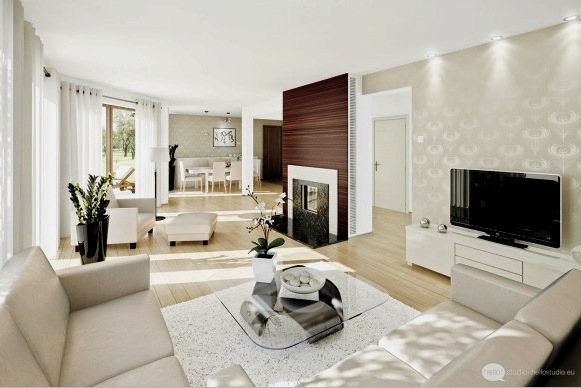 Gyönyörű nappali belső tér (39 fotó): a ház teljes felújítása minimális költséggel és a szoba díszítése