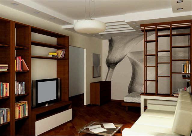 Egyszobás lakás kialakítása panelházban (45 fotó): a nappali javításának és díszítésének jellemzői