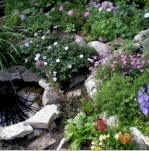 Kerttervezés az országban (36 fotó): projekt, gyep létrehozása, japán kerti stílus, virágok ültetése és kövek felhasználása