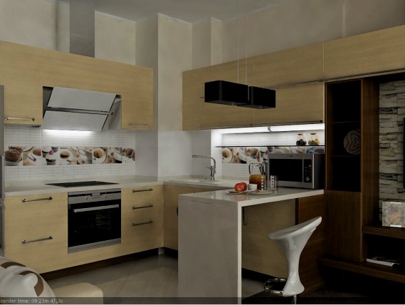 Stúdió szoba (36 fotó): konyha kialakítása, étkező és rekreációs területek