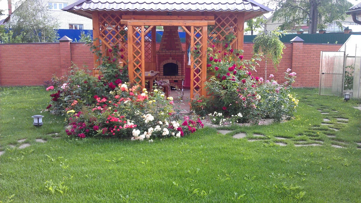 Rózsakert elhelyezése a kertben: vonzó kerti dekoráció