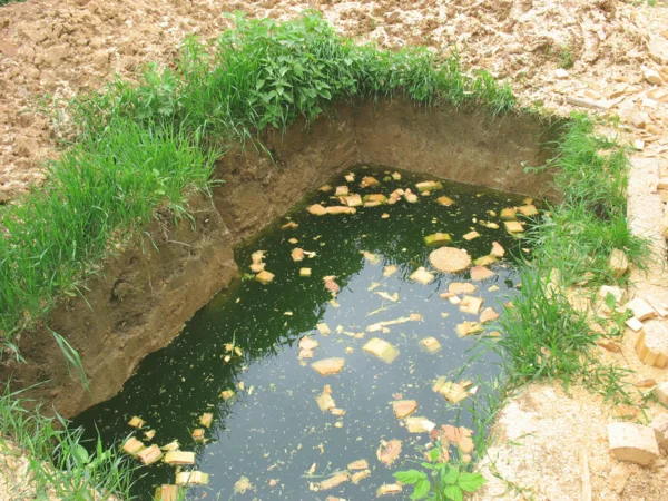 Magas talajvízszintű telek vízelvezetése
