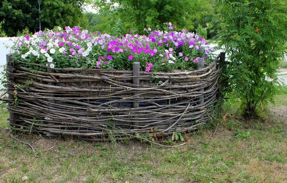 Dekoratív kerítés kiválasztása virágágyások és bokrok számára