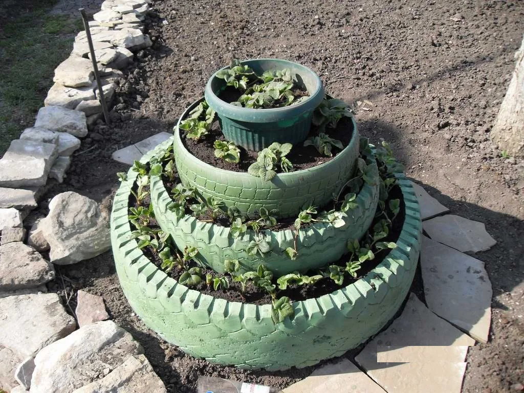 Egy szokatlan magágy a kertben: tervezze meg a zöldségeskertet