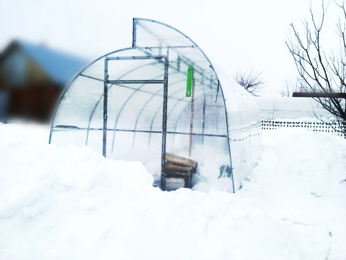Hogy télen hóval töltsük-e meg az üvegházat vagy sem?
