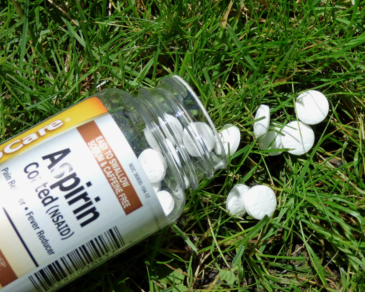 Hogyan lehet hasznos a kertben szokásos aszpirin: titkok kiderültek