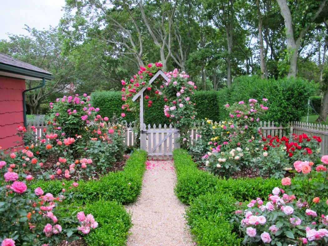 Hogyan lehet gyönyörűen díszíteni egy magánház melletti előkertet ��
