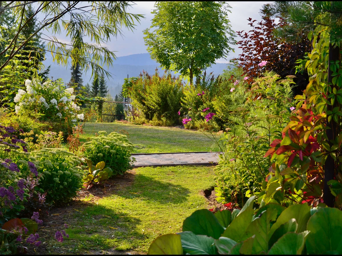 Tatyana Stebunova gyönyörű kertje a Kemerovo régióban