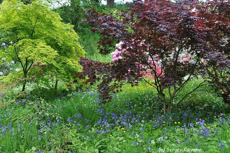 9 gyönyörű kert az Egyesült Királyságban