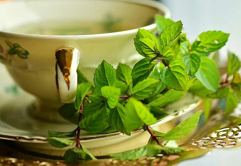 Teakészítés: további 5 hasznos növény