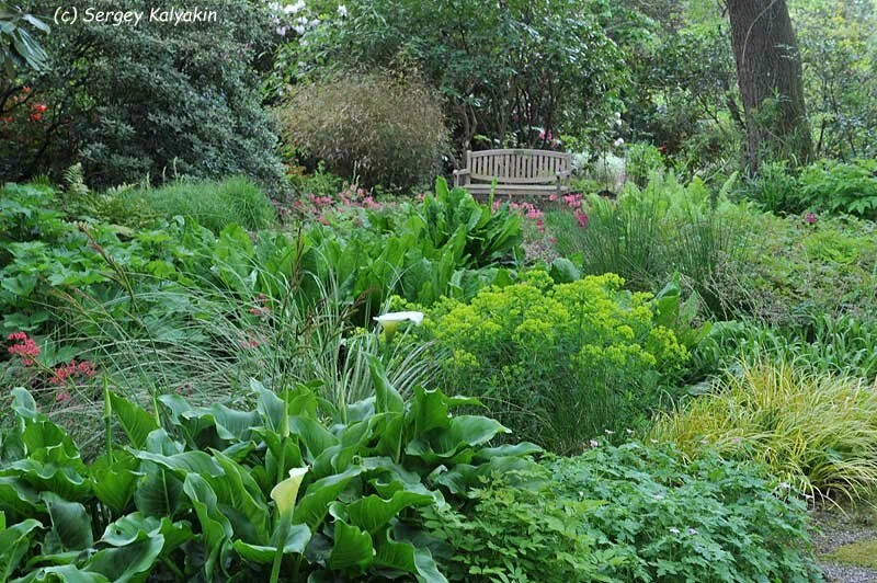 Még 9 gyönyörű brit kert