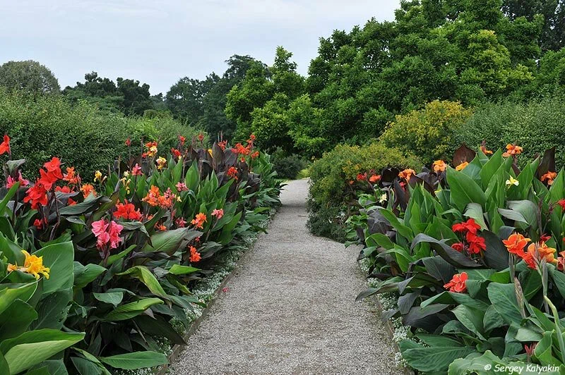 5 további gyönyörű kert Németországban