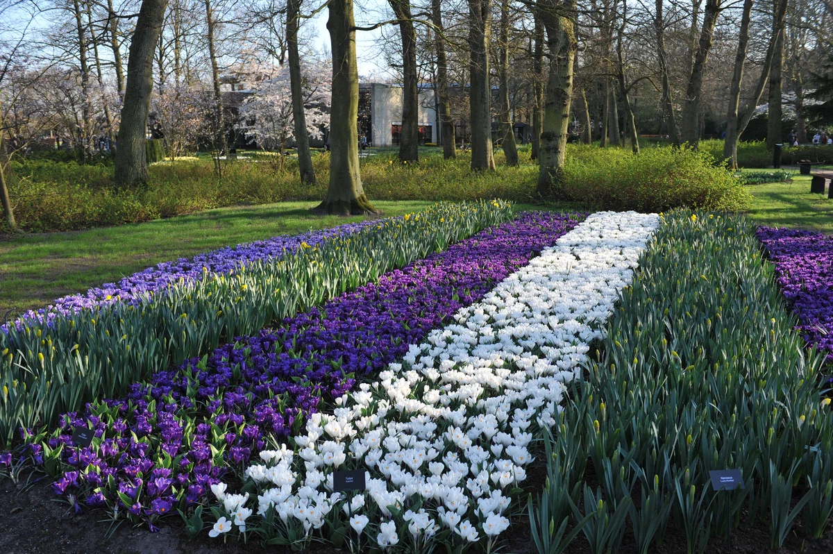 A Köckenhof hagymás virágpark ismét nyitva: 6 inspiráló kert