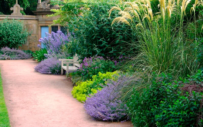 Az illatos kert: 3 ok, amiért érdemes a kertet illatos élménnyel megtölteni 