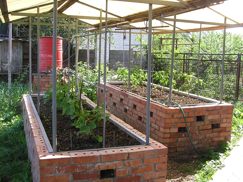 Hogyan könnyíthetjük meg a kert karbantartását? Tanácsok egy mezőgazdasági tudóstól a kezdő kertészkedőknek.