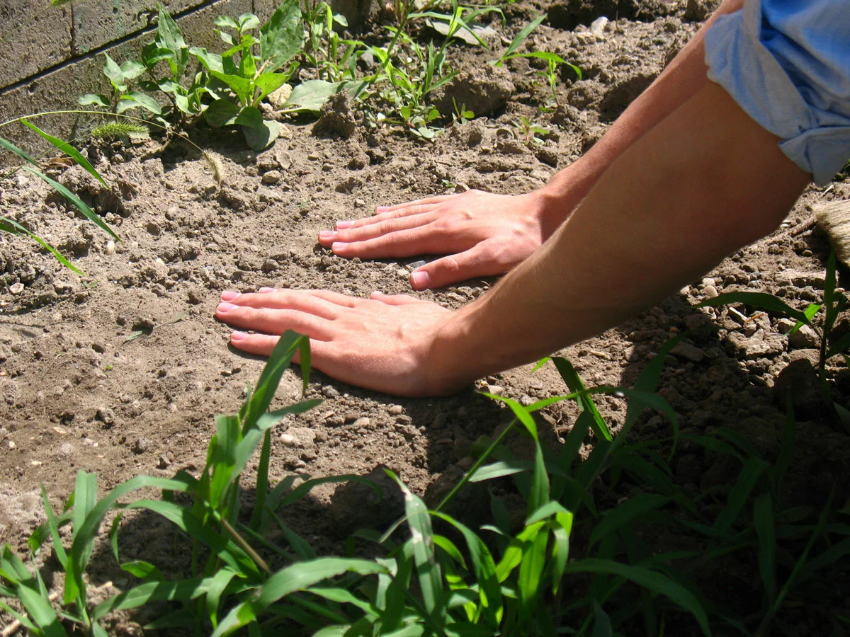 Piszkos kezek kertészkedés után? Íme néhány titok a tapasztalt kertészektől