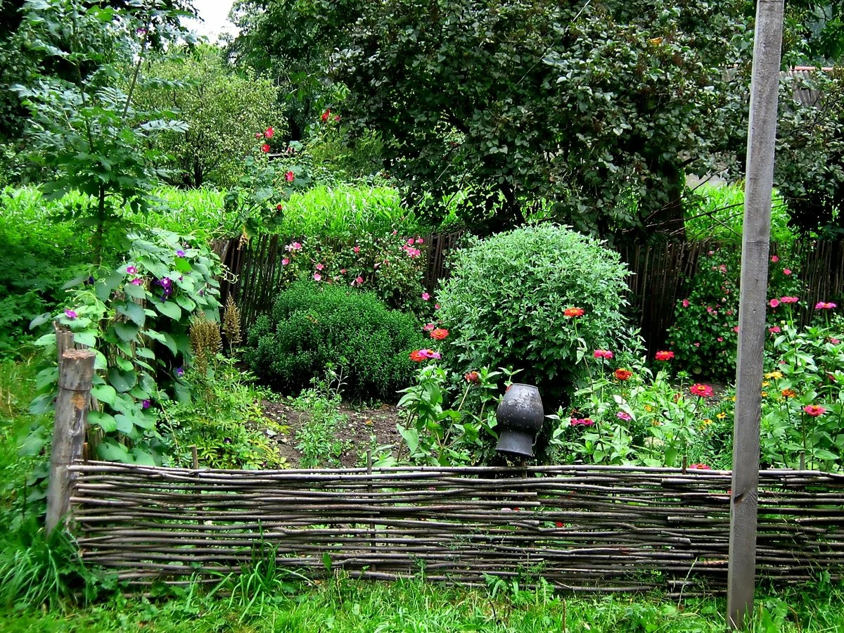 Vidéki kert. Hogyan tervezzünk rusztikus kertet.
