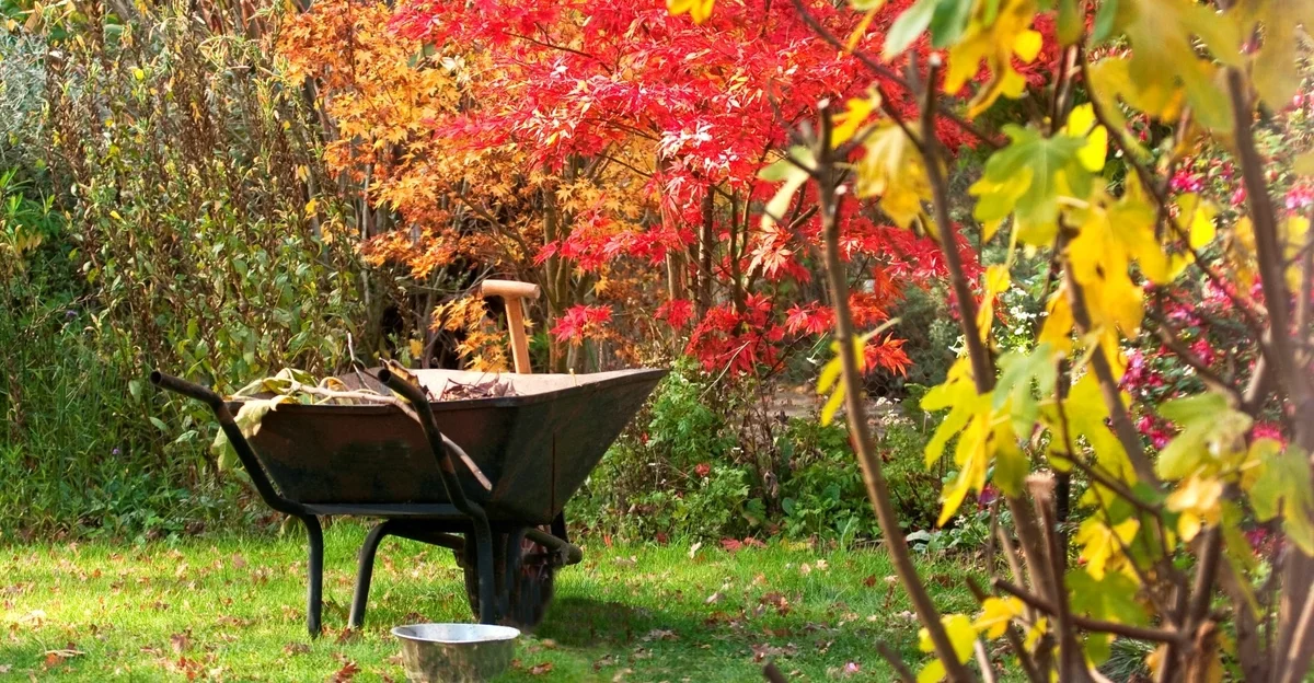 Hasznos tippek tapasztalt kertészektől a kert őszi előkészítéséhez.
