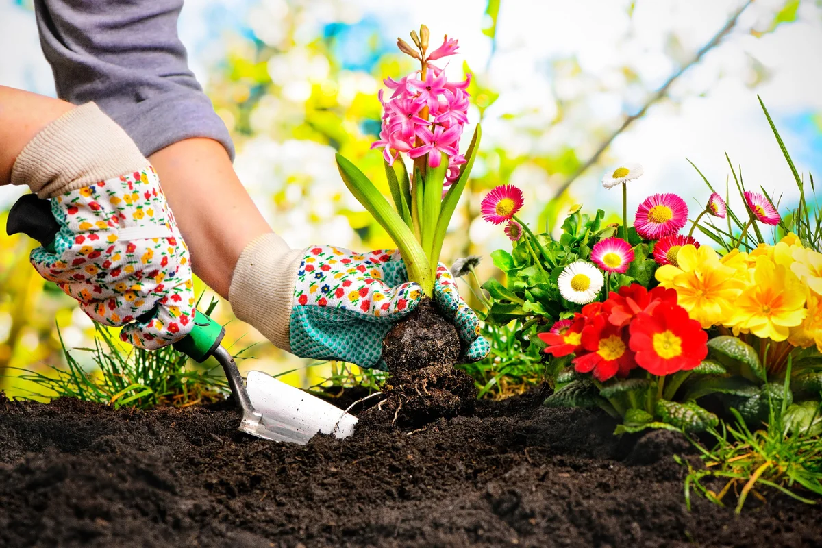 A kertészkedés megmenti a világot!