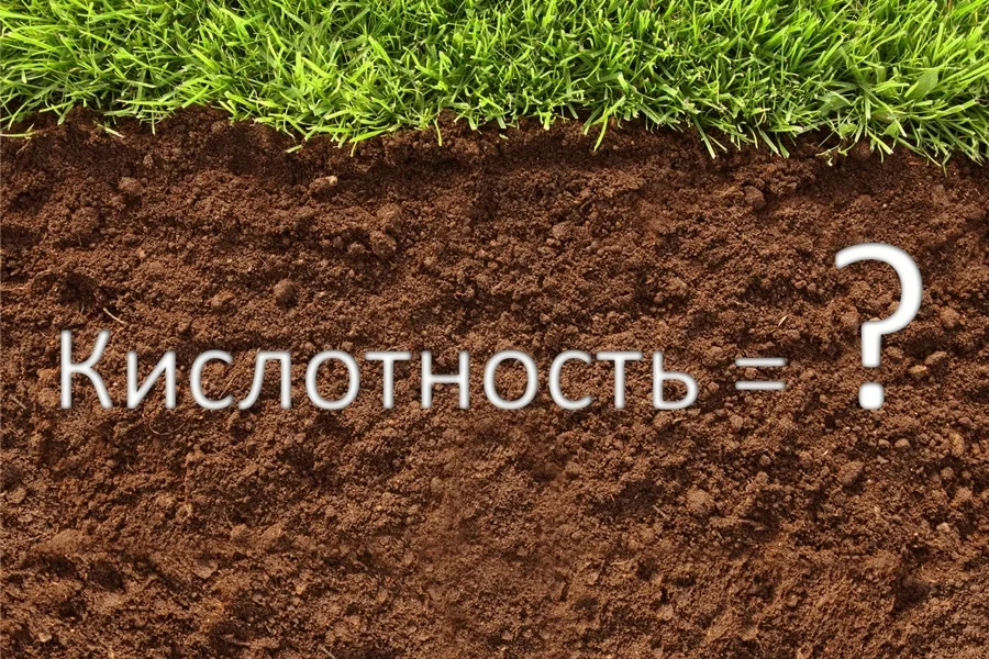 Hogyan határozzuk meg a talaj savasságát? Tudja meg ebben a cikkben!