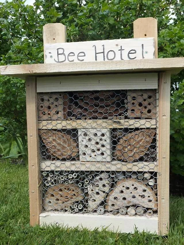 Hotel méheknek. Hogyan készítsük el?