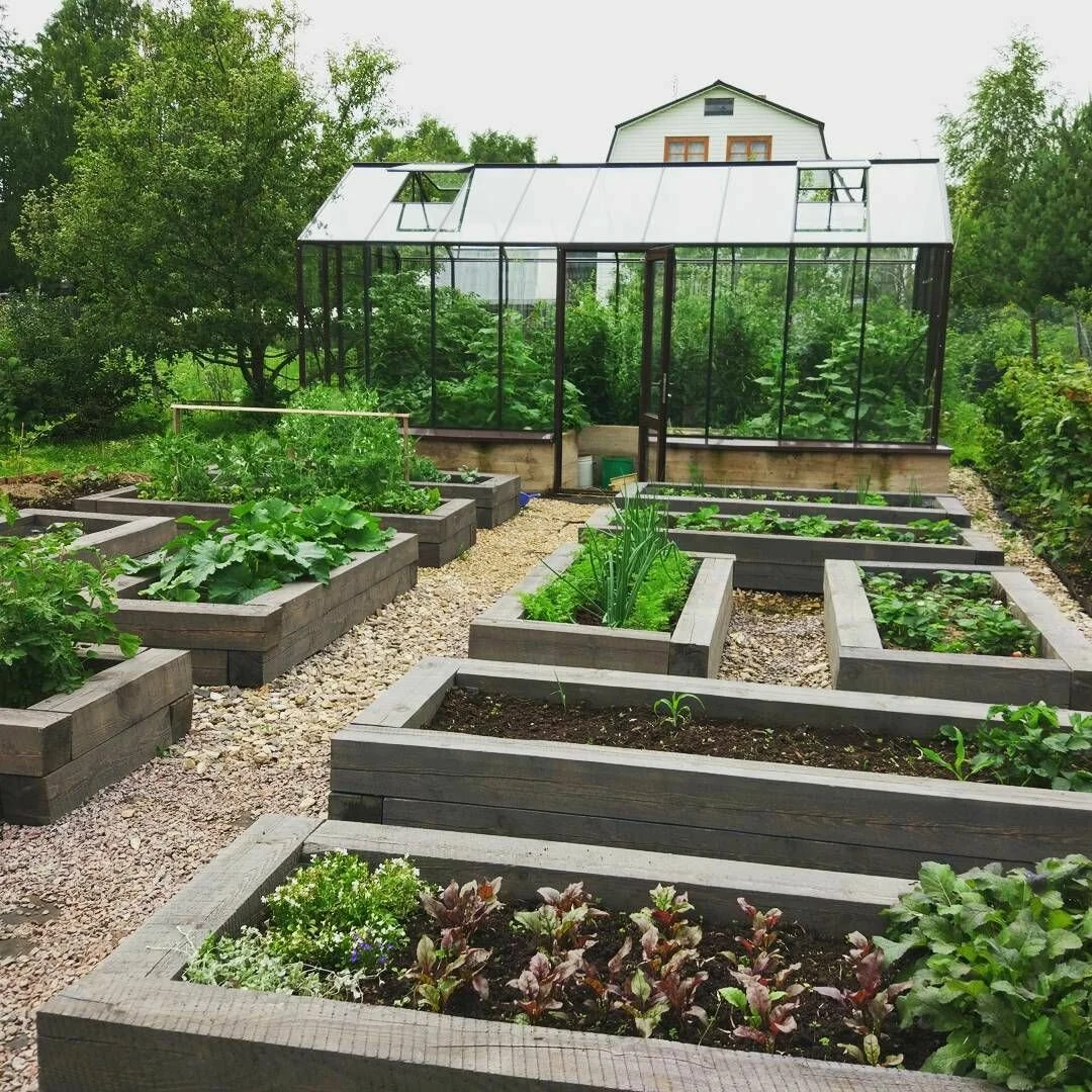 Hogyan készítsünk egy modern kertet?Ez nagyon egyszerű!