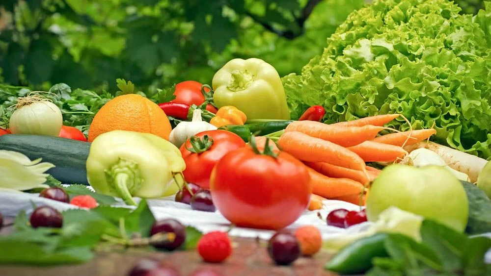 Út a betakarításhoz, avagy a zöldségtermesztők legjobb tippjei! 1 rész!