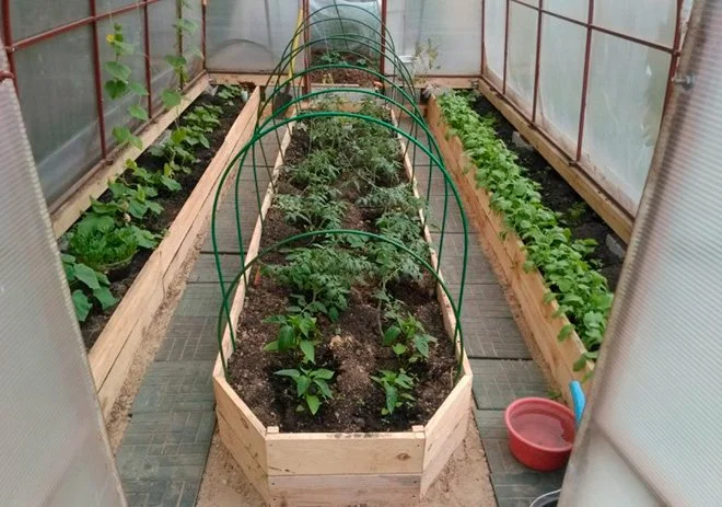 Hogyan készítsünk egy jó ágyat a kertben, hogy nagyszerű termésünk legyen? A titok kiderült!��