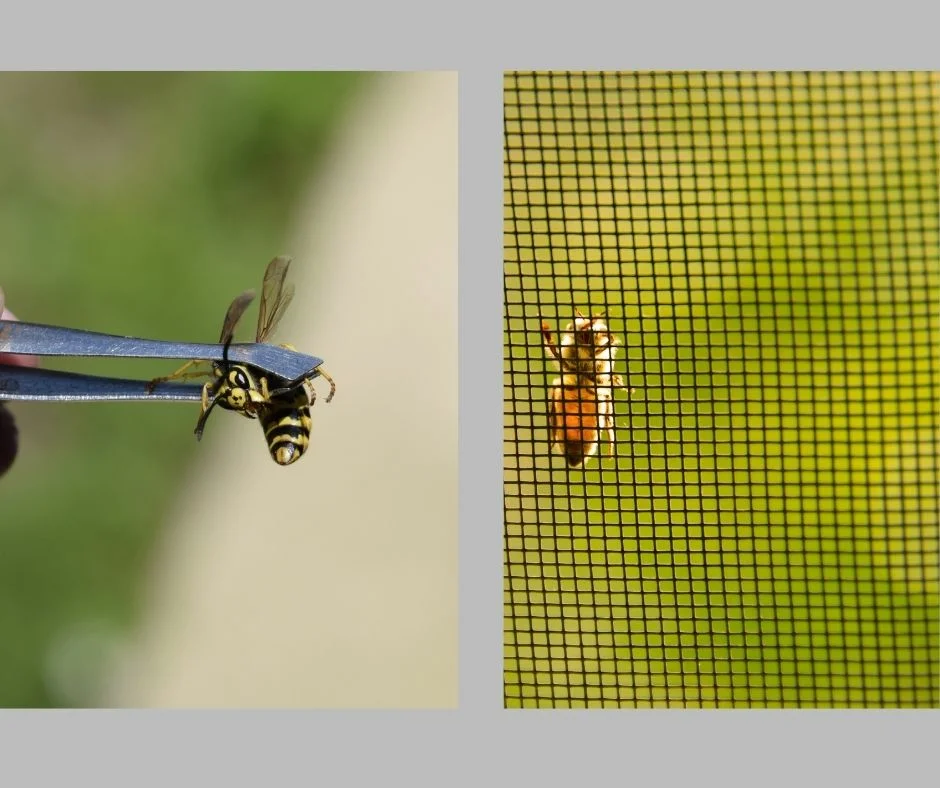 Tehát hogyan kell kezelni a rovarkártevőket?��