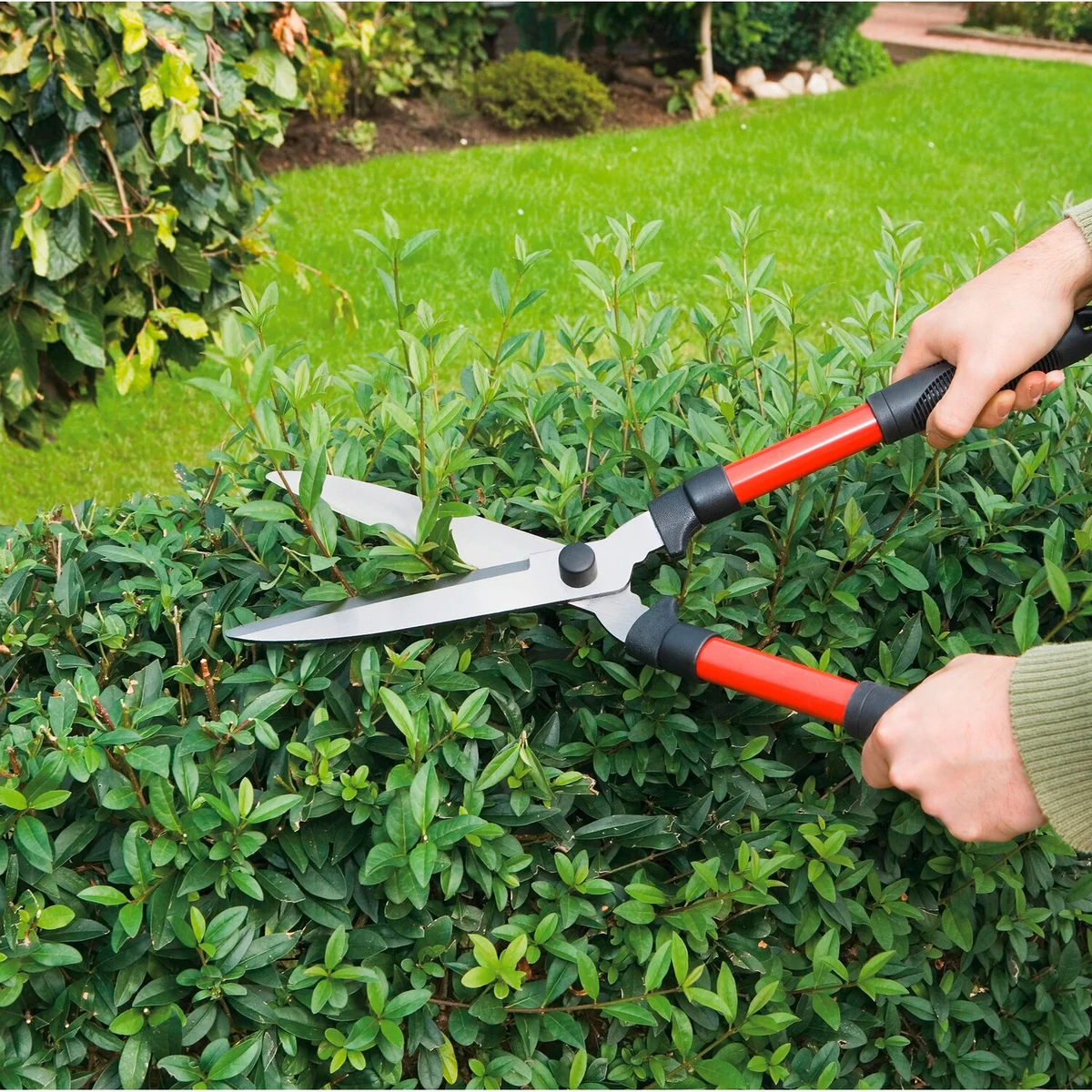 Hogyan válasszuk ki a megfelelő kerti ollót?✂️