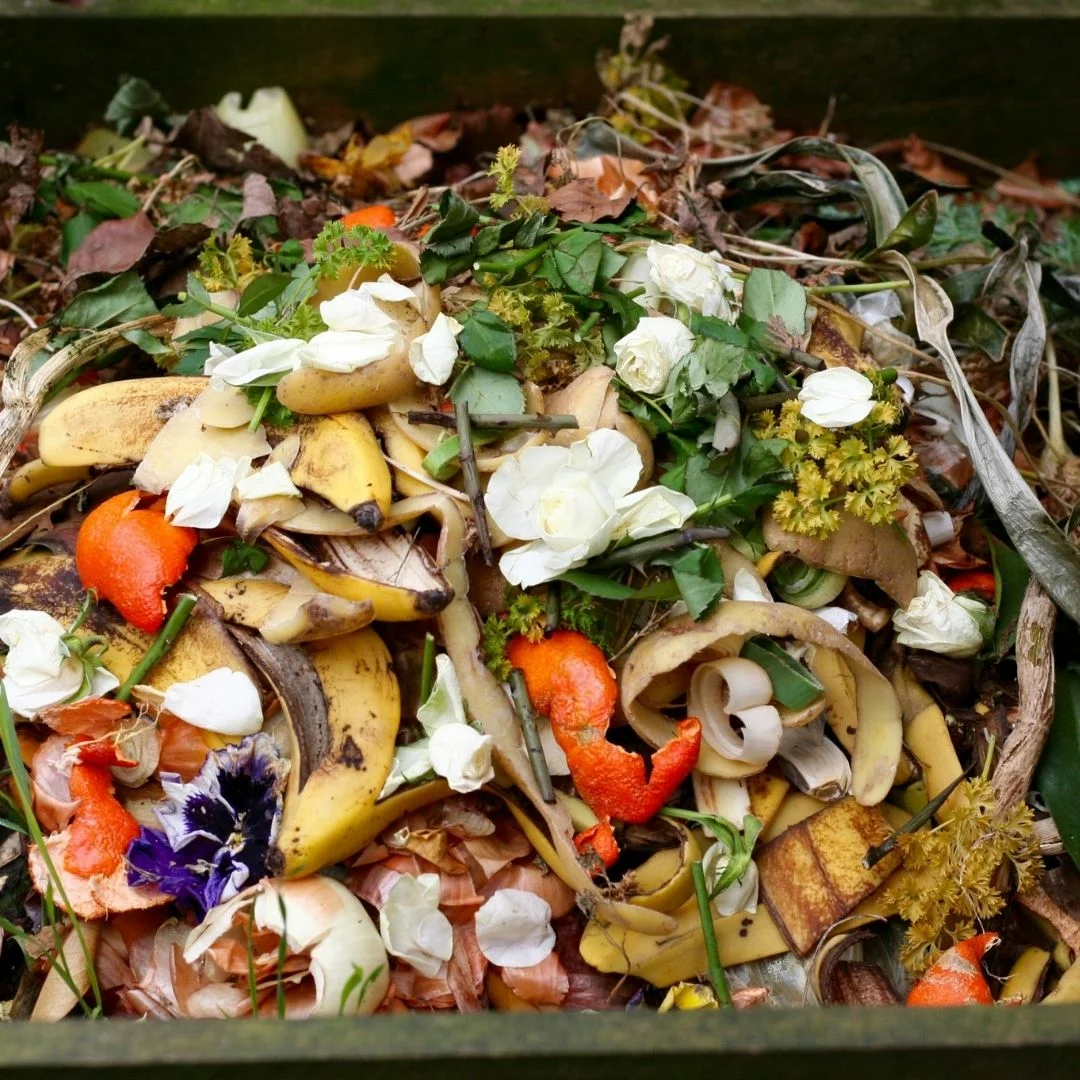 5 legjobb ötlet a régi komposzt felhasználására