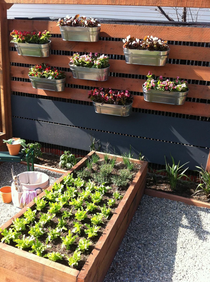 Hogyan készítsünk és szervezzünk mini-kertet otthon. 1 rész��
