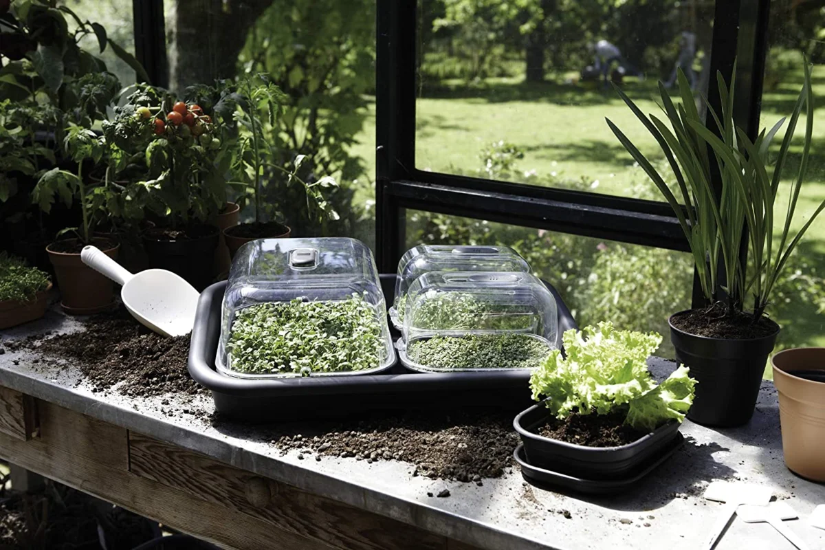 Hogyan készítsünk és szervezzünk mini kertet otthonunkban?. 2. rész��