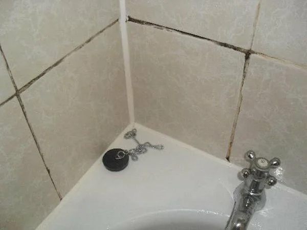 A zuhanykabin megtisztítása a penésztől és a vízkőtől