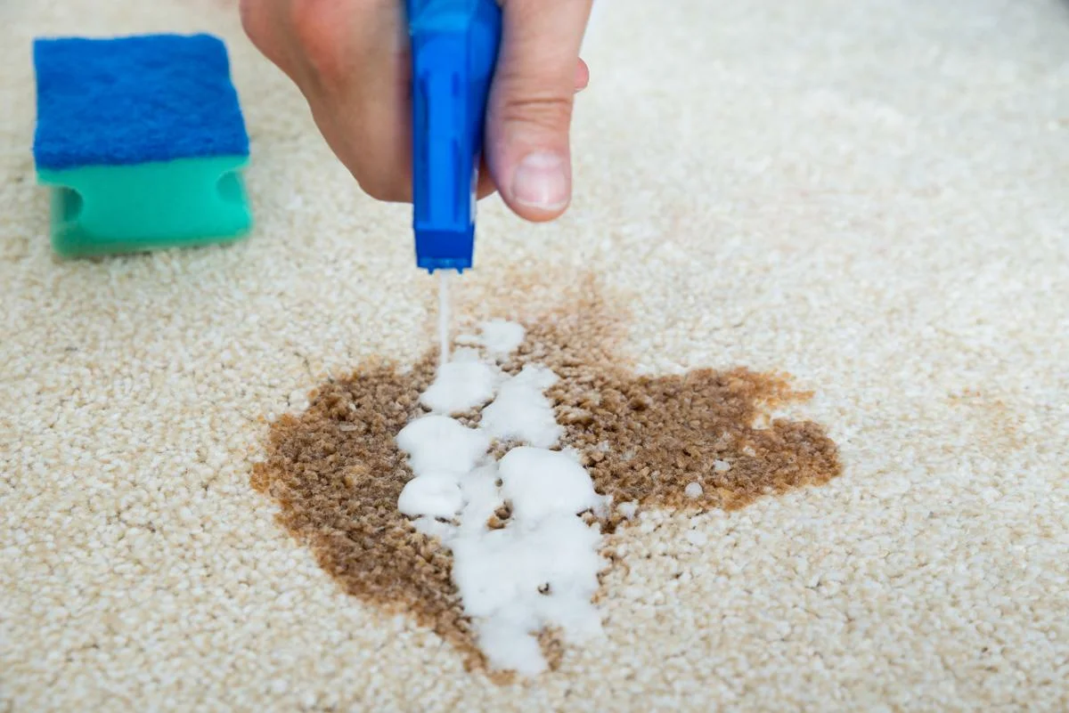 6 hasznos tanács és tipp az otthoni szőnyegtisztításhoz